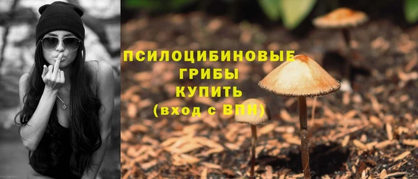 apvp Алзамай