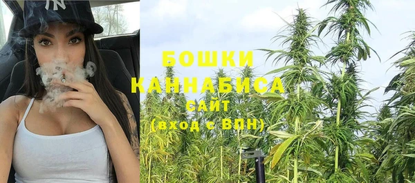 сатива Переславль-Залесский
