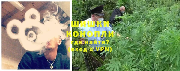 apvp Алзамай