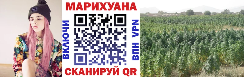 гидра маркетплейс  цены   Холм  Каннабис планчик 